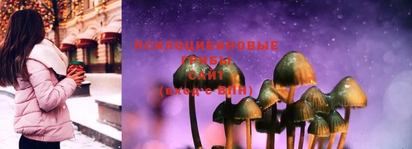хмурый Краснотурьинск