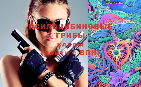 таблы Краснослободск