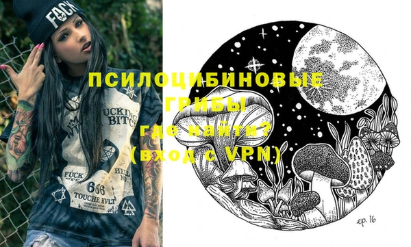 таблы Краснослободск