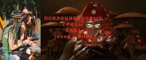 таблы Краснослободск